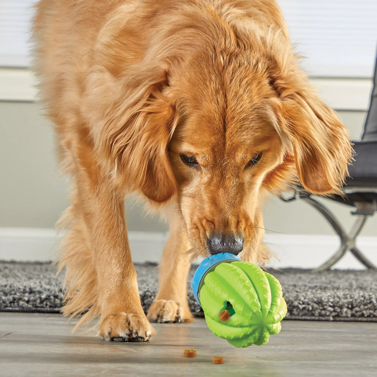 Brightkins Cactus Surprise! Dog Treat Dispenser