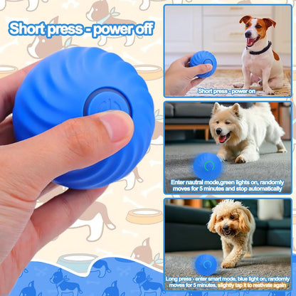 Interactive Dog Ball Toy - Self-Rolling, Motion-Activated, Anti-Chewer Cover, 2.64 Inch Diameter, Provides Exercise for Small/Medium Dogs, Halloween/Birthday Pet Enrichment Toy