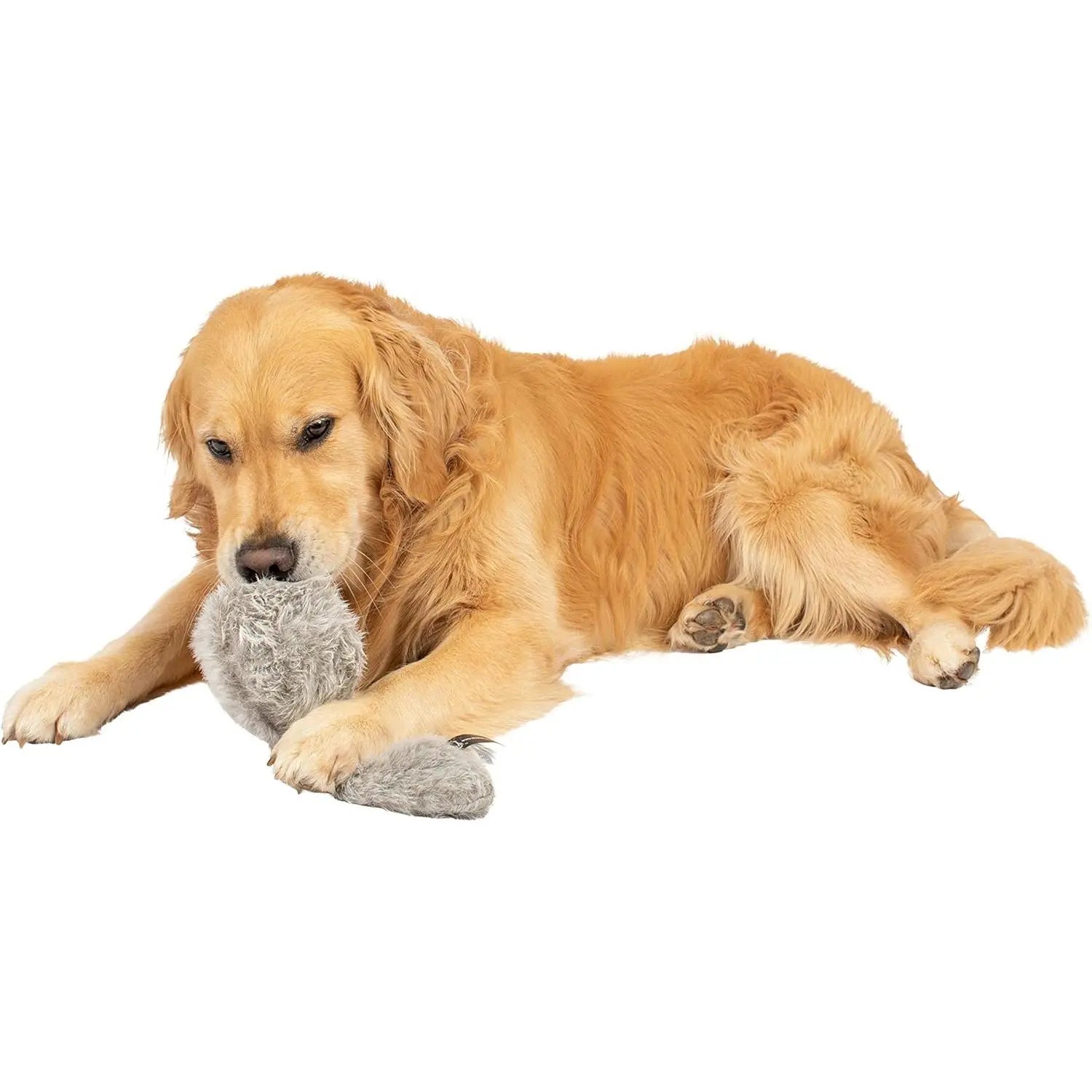 Doggie Tail Interactive Plush Dog Toys (Wiggles, Vibrates, and Barks, Stimulating Play)