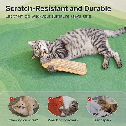 Cat Toys Pack of 2 , A+ Organic Catnip, Soft Sisal Material Indoor Kitten Scratching and Kicker Toys, Drives Bored Cats Crazy with Fun Interactive Chew