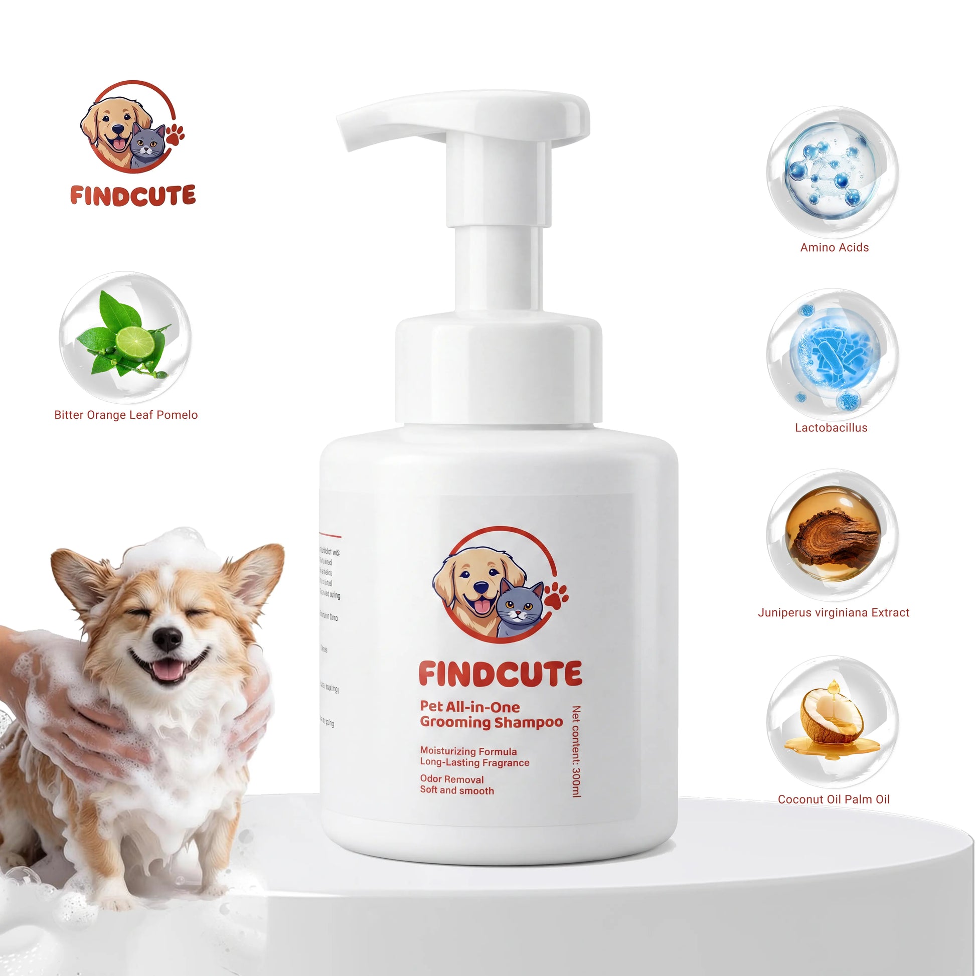 FINDCUTE 10Oz Animal All-In-1 Grooming Shampoo - Pet Grooming Products for Dogs & Cats, Odor Removal, Dirt Cleaning, Itch Relief, Tangled Hair Softening, Moisturizes Coat, Long-Lasting Fresh Scent
