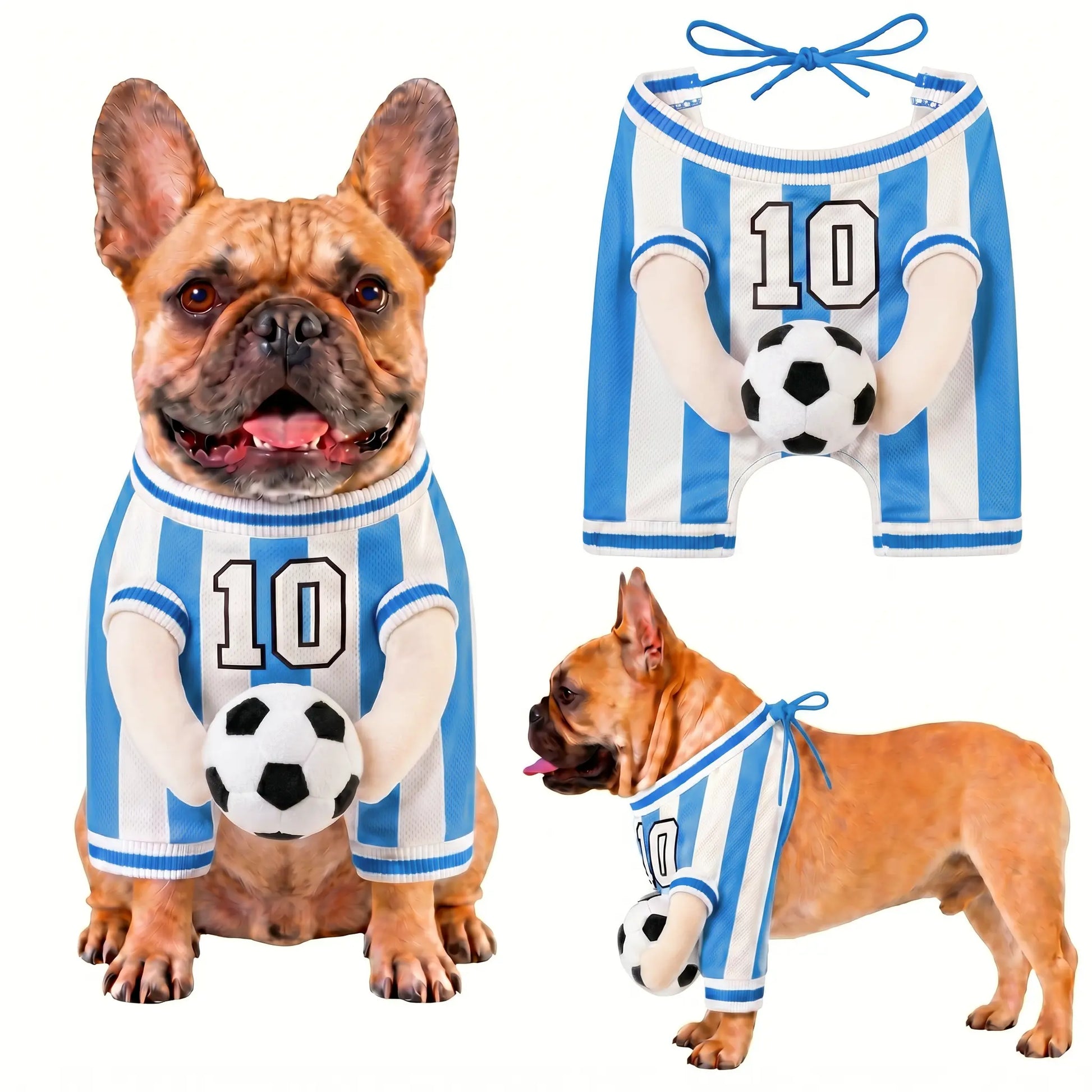Dog Jersey with fake arms costume #FIFA