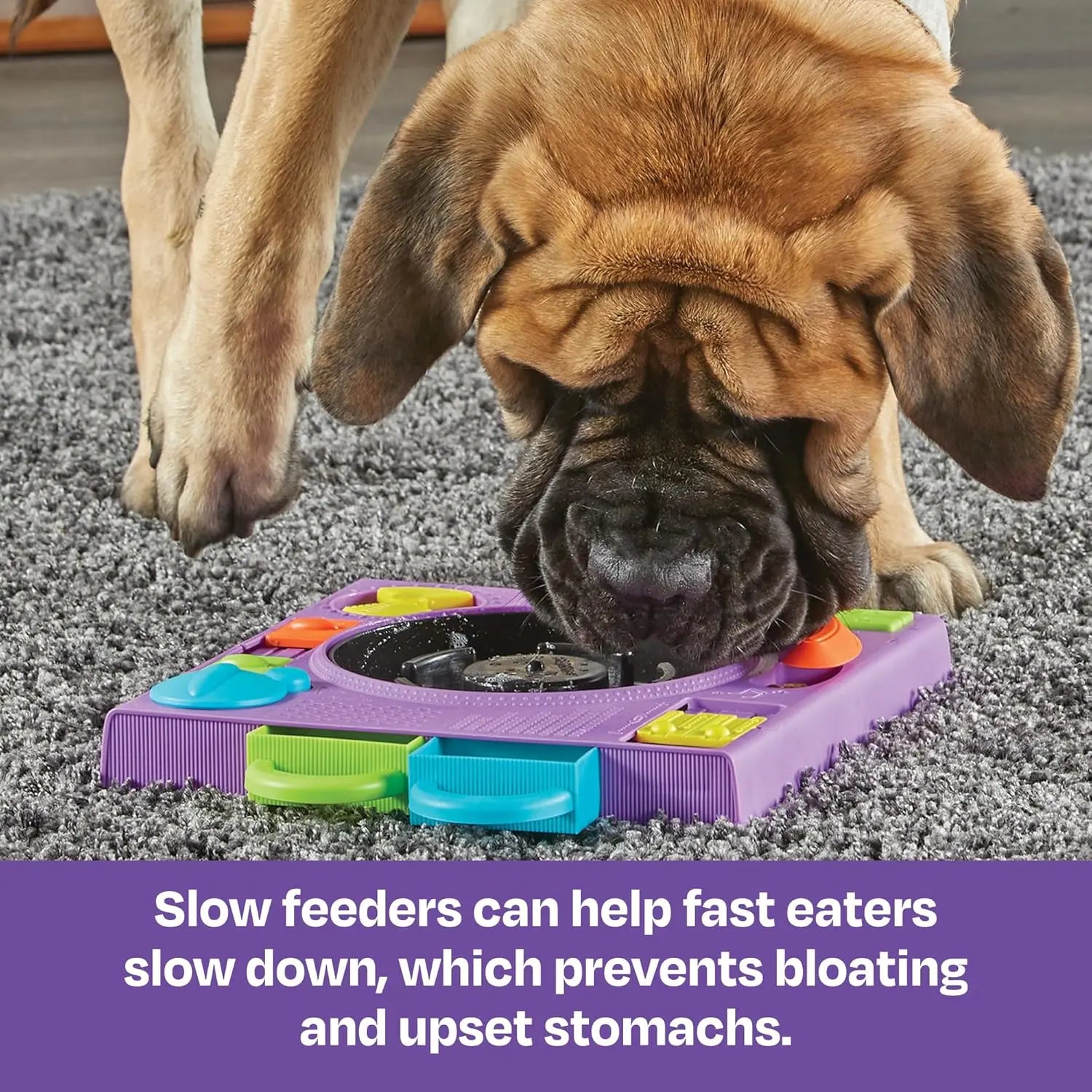 DJ Doggo Puzzle Feeder - Enrichment Toys for Dogs Mental Stimulation, Interactive Gift for Puppies