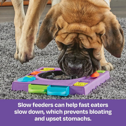 DJ Doggo Puzzle Feeder - Enrichment Toys for Dogs Mental Stimulation, Interactive Gift for Puppies