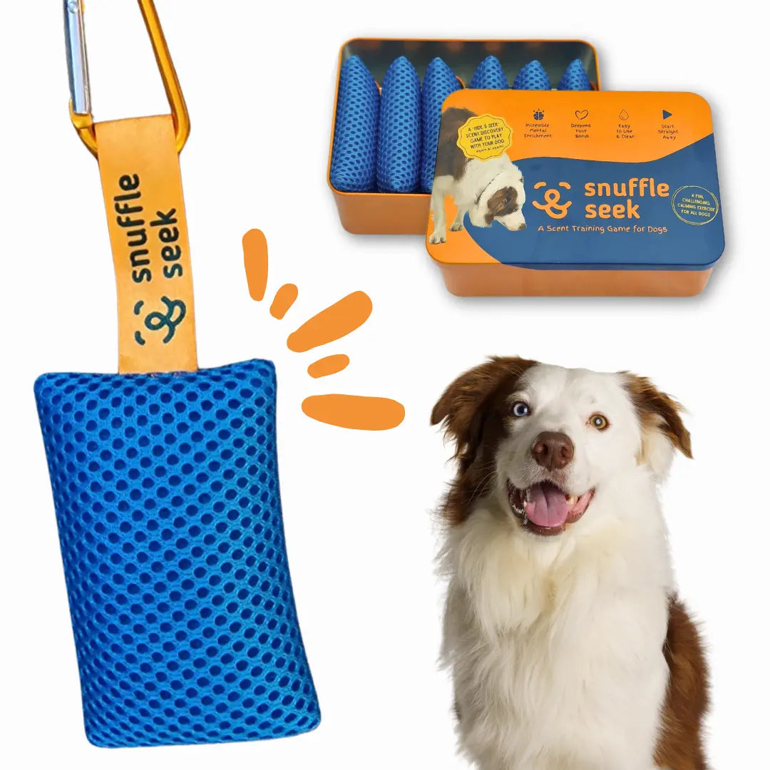Snuffle Seek | Hide and Seek Dog Toys | Dog Sniffing Toys | Dog Games | Nose Work for Dogs | Dog Scent Training | Dog Enrichment Toys | Interactive Dog Toys |Mentally Stimulating Toys for Dogs | Dog Birthday Present