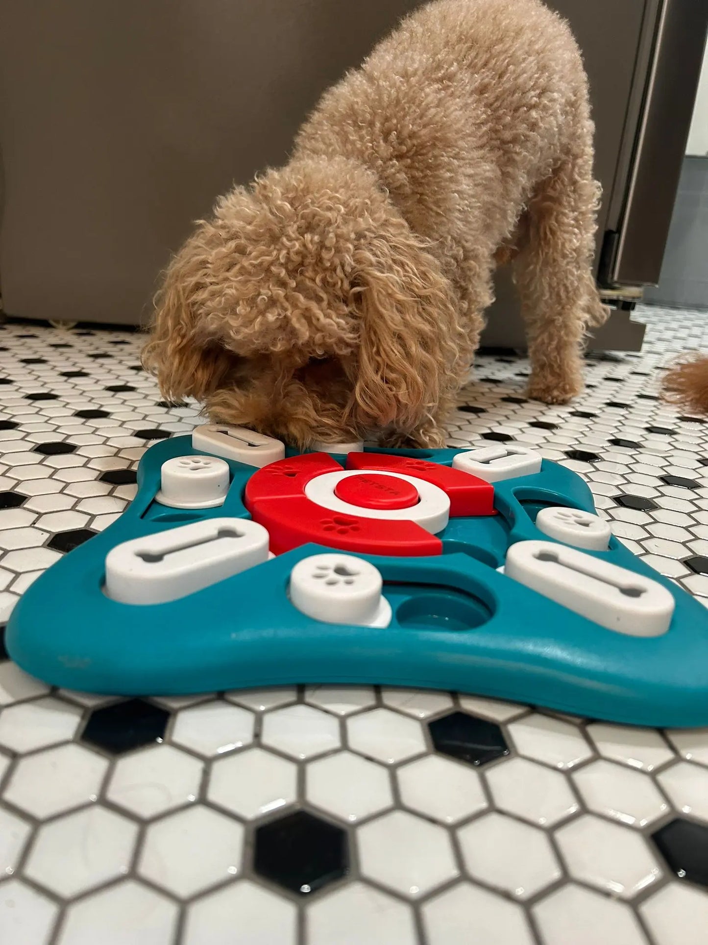Chevaux Dog Toys, Treat Dispensing Dog Enrichment Toys, Interactive Dog Puzzle Toys to Keep Them Busy