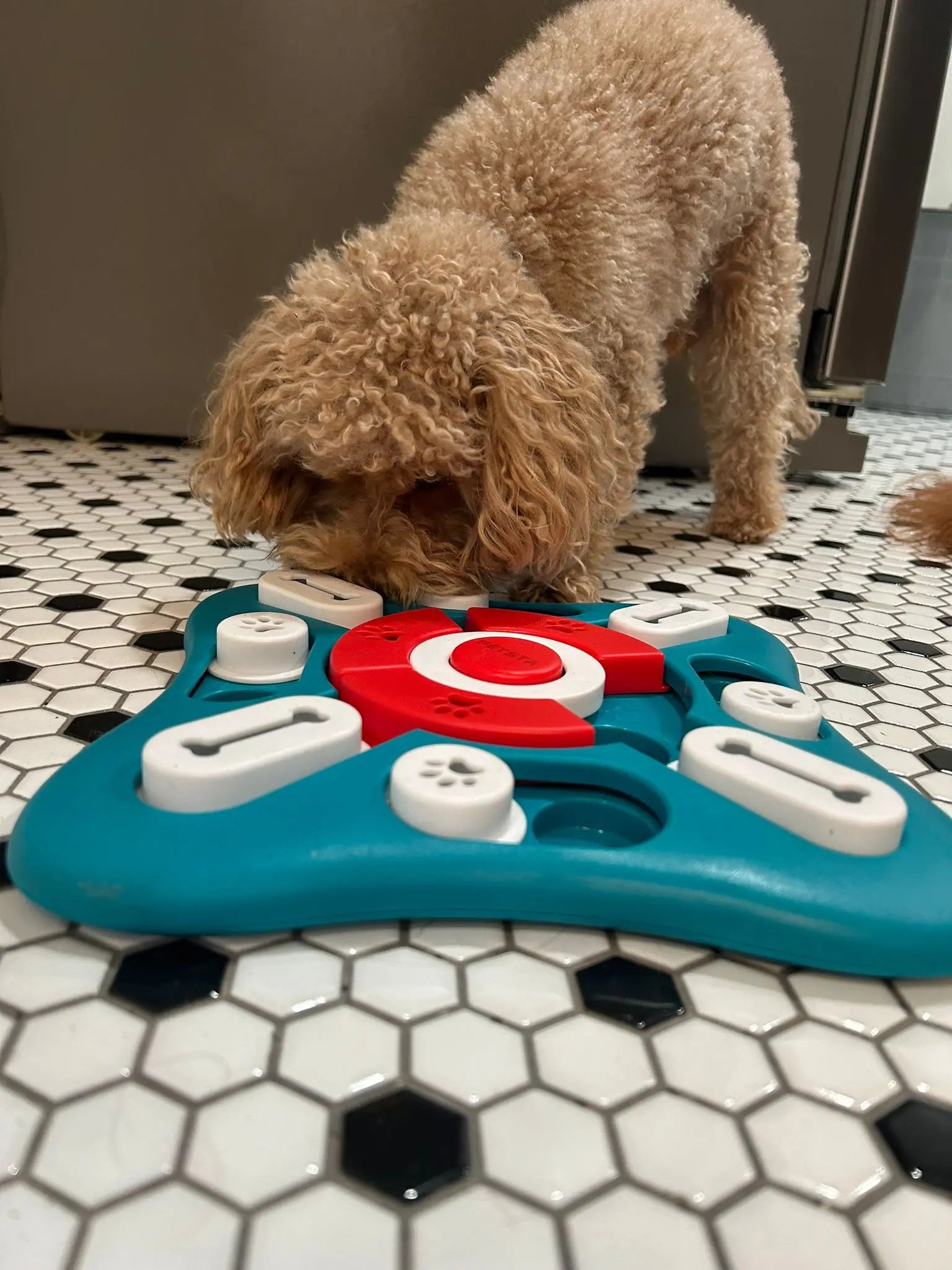 Chevaux Dog Toys, Treat Dispensing Dog Enrichment Toys, Interactive Dog Puzzle Toys to Keep Them Busy