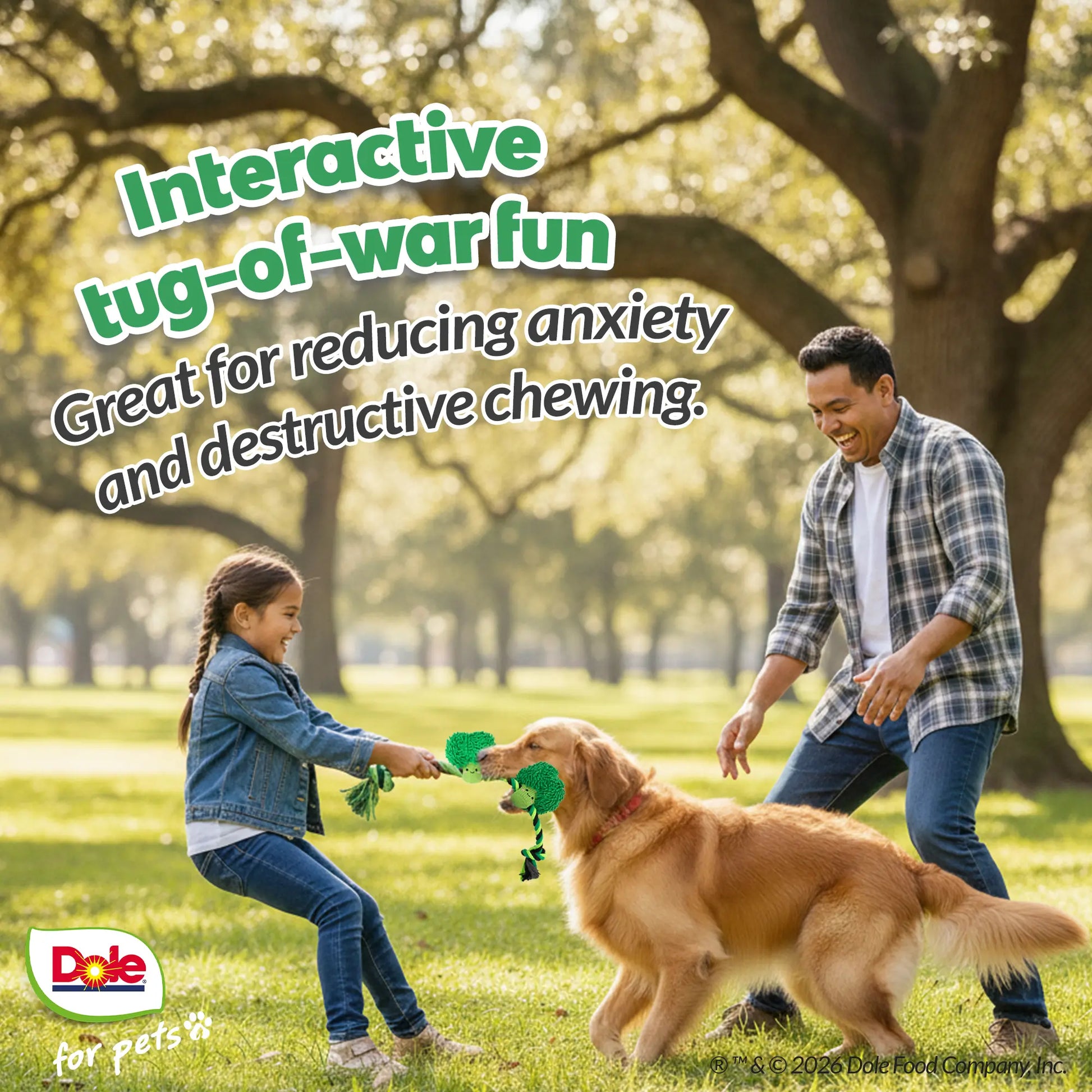 Dole for Pets Broccoli Dog Rope Toy with Squeaker, Tug of War Dog Toy- Cute Veggie Design
