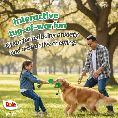 Dole for Pets Broccoli Dog Rope Toy with Squeaker, Tug of War Dog Toy- Cute Veggie Design