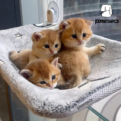 【Cat Window Perch】For Large Cats,Glow in the Dark,Hammock with Hook Design Double-Sided Fabric Cover, Foldable Window Seat,Sunbathing