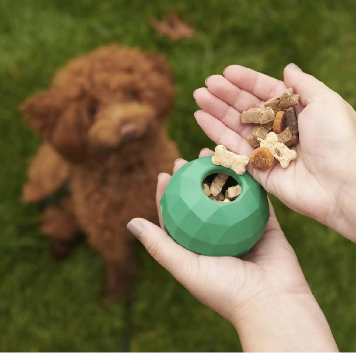 Fetch Toys for Dogs to Keep Them Occupied - Colorful Durable Dog Toy Bundle for Moderate Chewers - Puppy Enrichment Toys Promote Teeth Cleaning, Eliminate Boredom & Provide Hours of Fun - 4 Pack