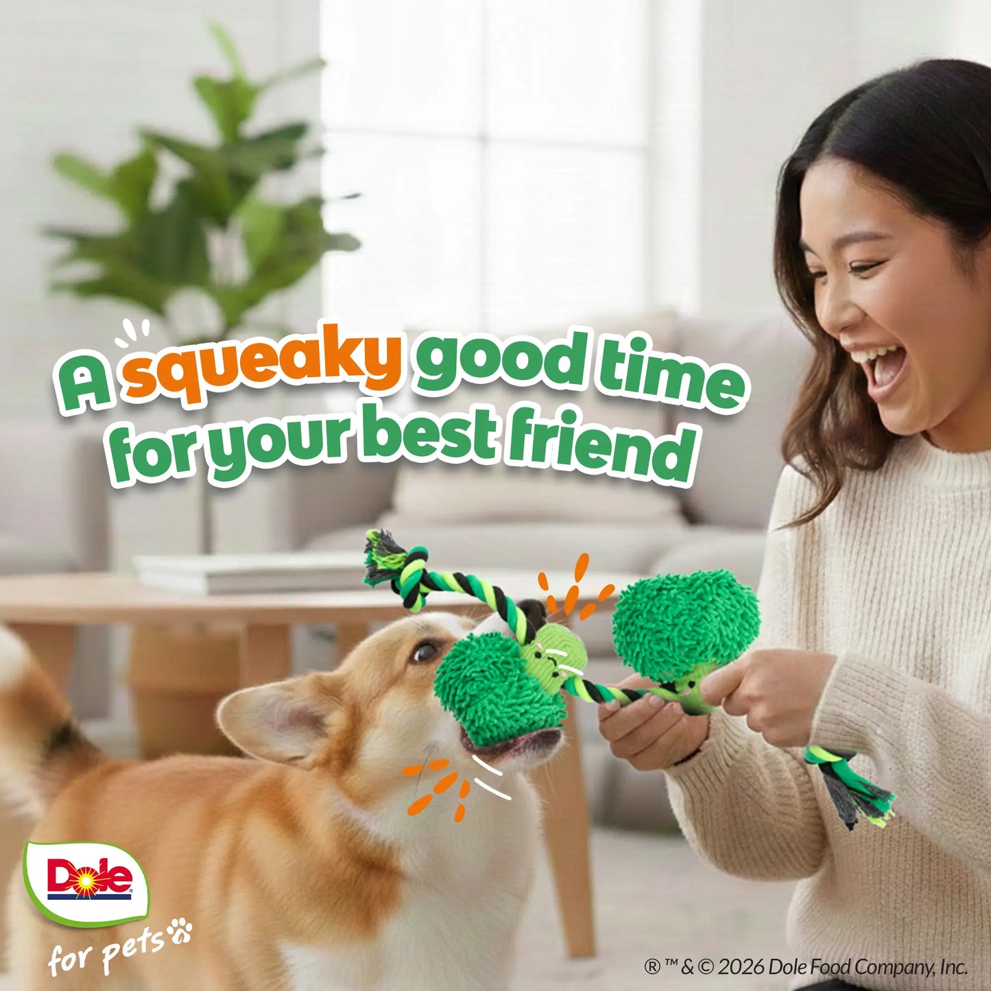 Dole for Pets Broccoli Dog Rope Toy with Squeaker, Tug of War Dog Toy- Cute Veggie Design