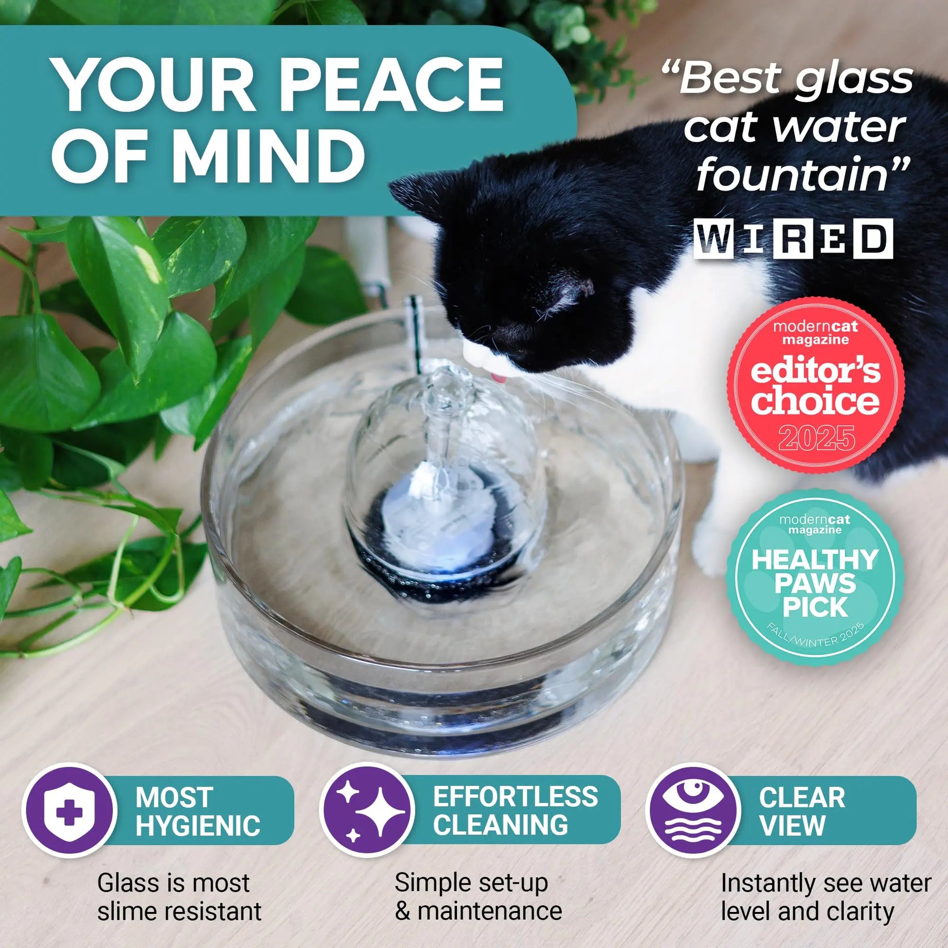 Brook Glass Pet Fountain (90Oz/2.7L) – Cat Water Fountain & Small Dog Drinking Fountain – Automatic Water Dispenser Cat Fountain
